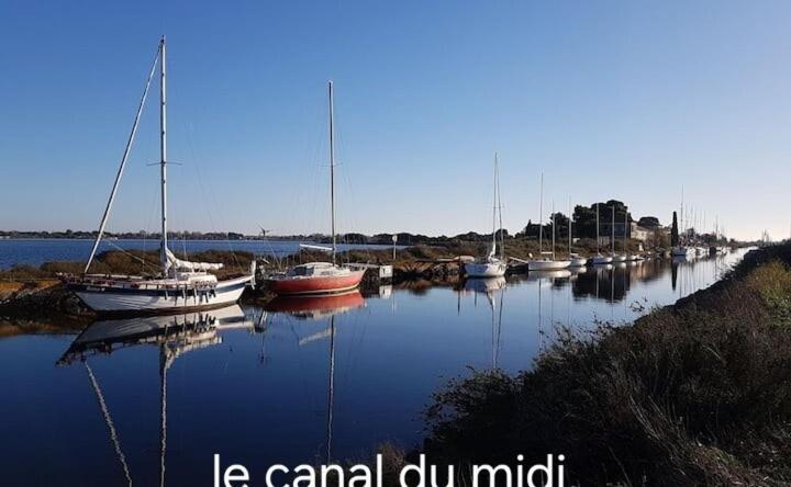 Le Corinthe - Appt Classe 3 Etoiles Et Climatise Marseillan  Exterior foto